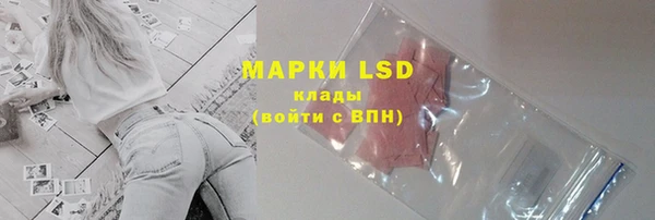 индика Алексин