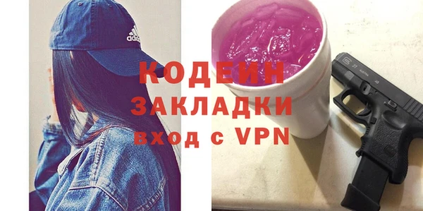 индика Алексин