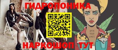 ГАЛЛЮЦИНОГЕННЫЕ ГРИБЫ Кандалакша