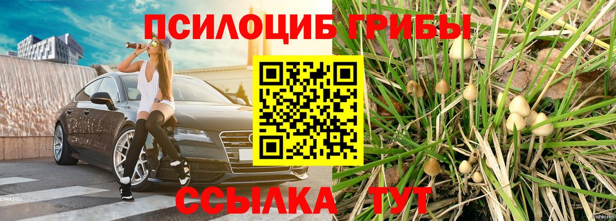 Кызыл  Псилоцибиновые грибы мухоморы  Вход с VPN 